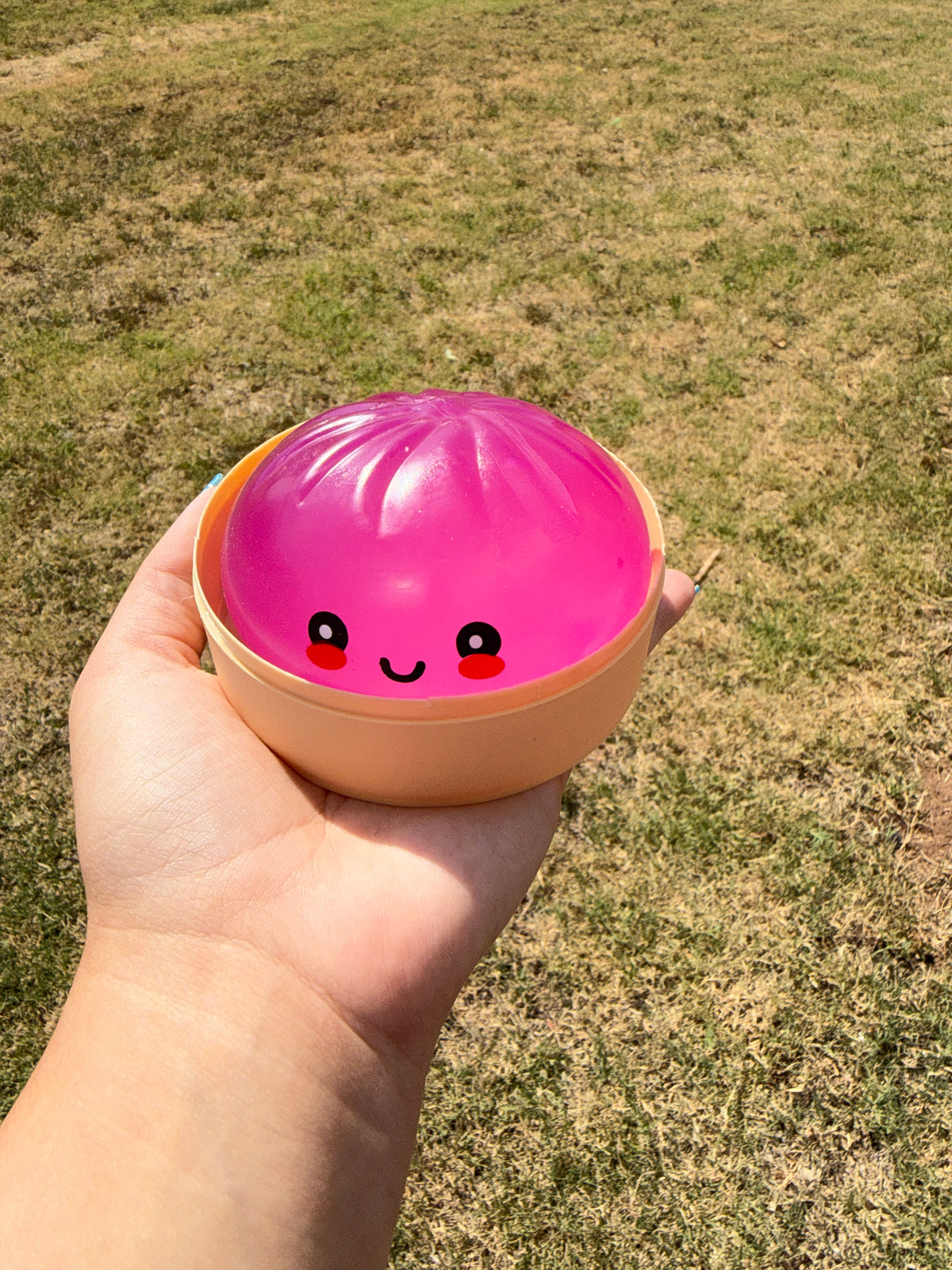 Color Changing Mystery Dumpling