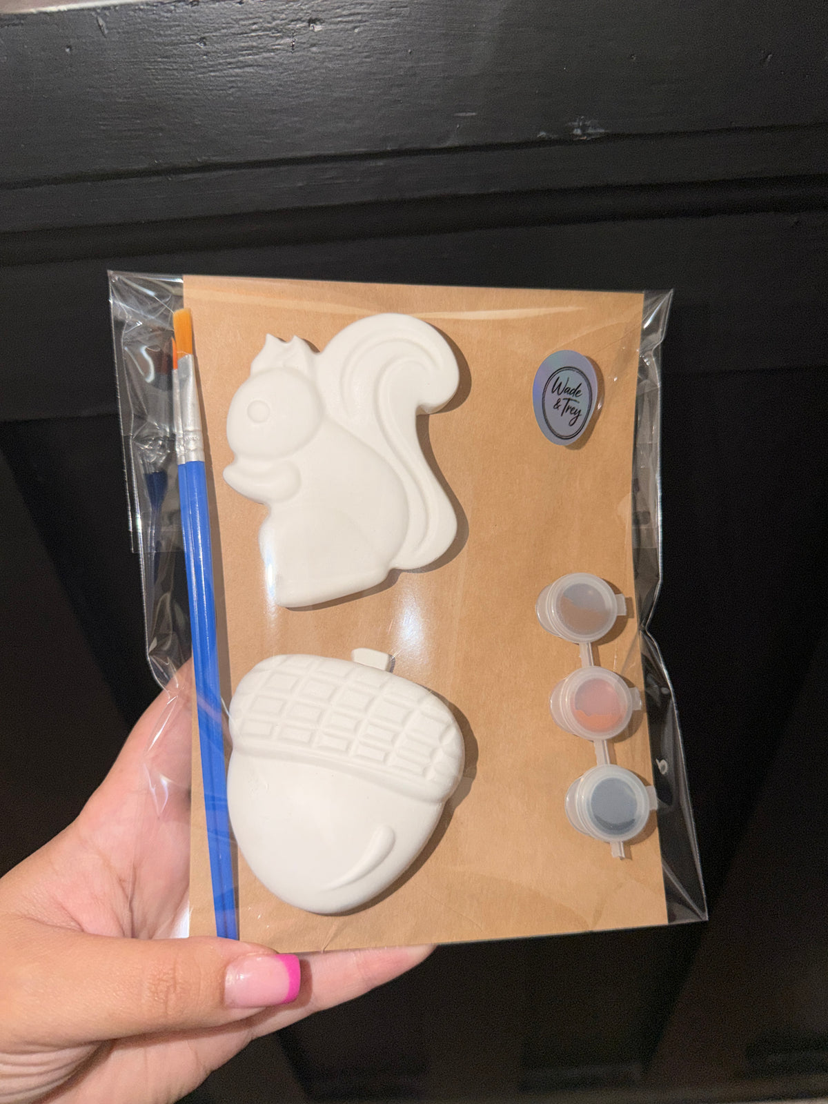 Fall Paint Kits 🍂🧡🐿️