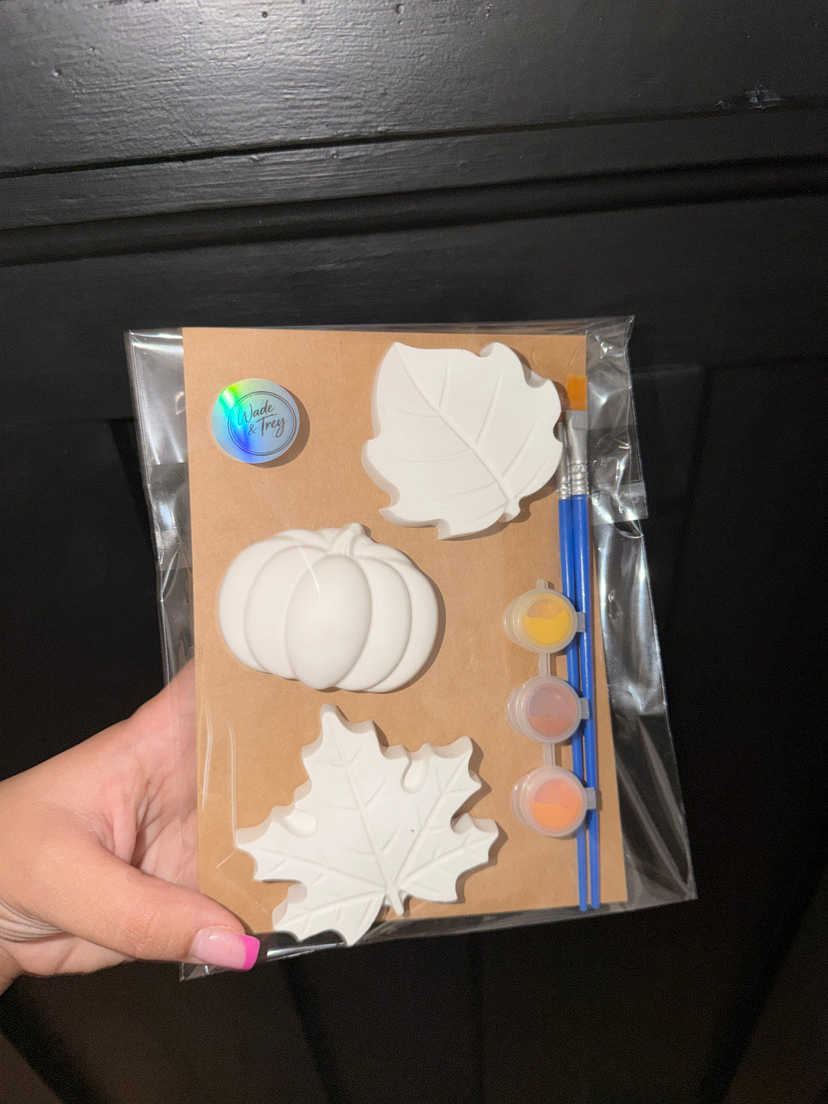 Fall Paint Kits 🍂🧡🐿️